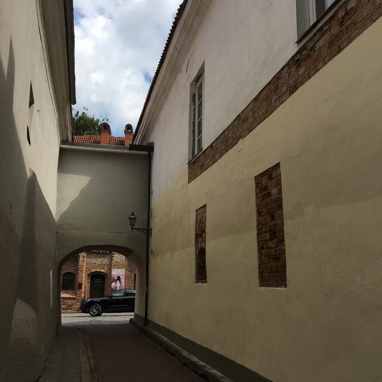 Skapas Street Vilnius Apartment Bagian luar foto