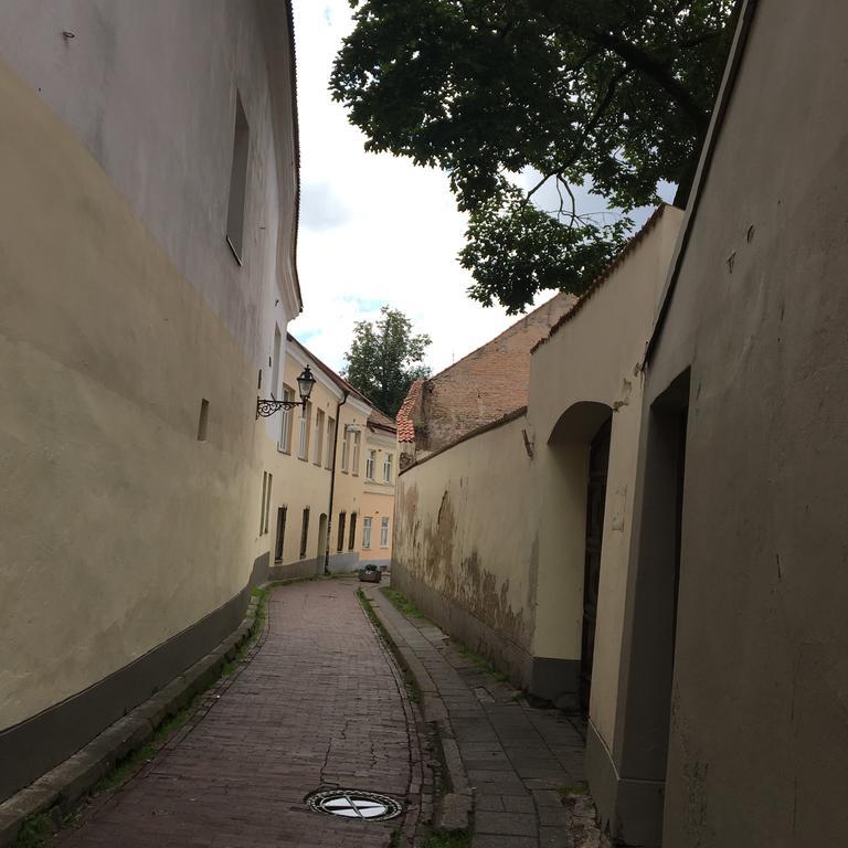 Skapas Street Vilnius Apartment Bagian luar foto