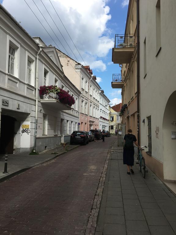 Skapas Street Vilnius Apartment Bagian luar foto